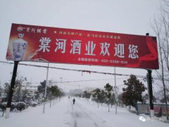 豫酒振興，棠河品質先行